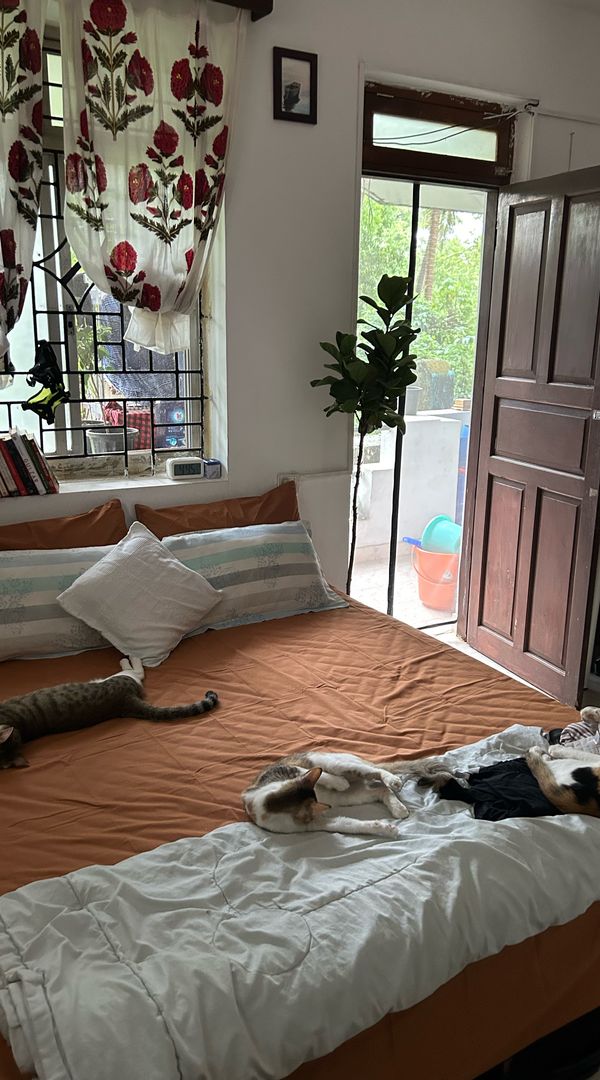 La maison de srishti
