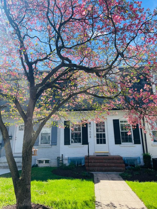 La maison de Charlotte à DC (chambre privée)