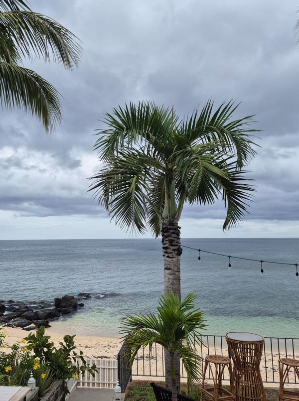 Very charming House Beach on a private beach on Tamarin- rare location