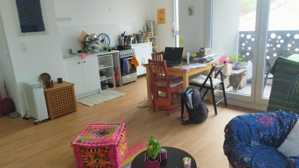 Appartement 2 pièces à 20 min de Nantes ville verte et très dynamique d'un point de vue culturel et associatif. Haute-Goulaine dispose de commerces dans son centre, ainsi que de nombreux magasins dans la zone commerciale Pôle Sud à 5min en voiture. Il est également à 30 min de la petite ville charmante à l'italienne, Clisson où vous vous sentirez comme en Italie, ainsi qu'à une heure de la côte où je vous recommande les plages de Portmain dans de jolies criques, à côté de Pornic. Jolies promenades en haut d'une mini montagne, la Butte de la Roche au milieu des vignes, et qui vous offrira un beau point de vue sur les marais de Haute Goulaine et les environs. Et nombreuses randonnées en campagne à faire autour de Nantes et le long de la Loire.