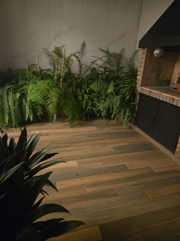 La maison de Luli