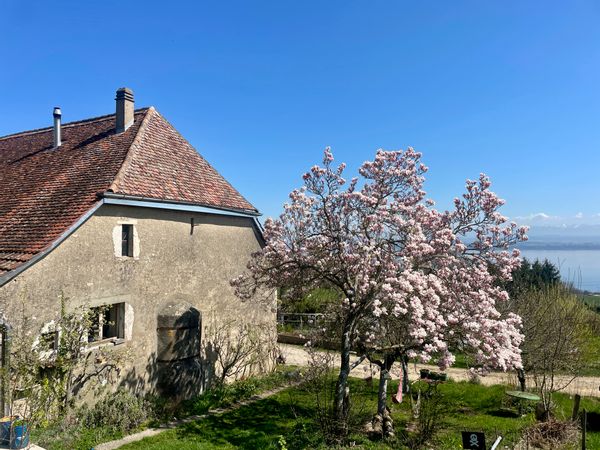 La maison de l’étoile