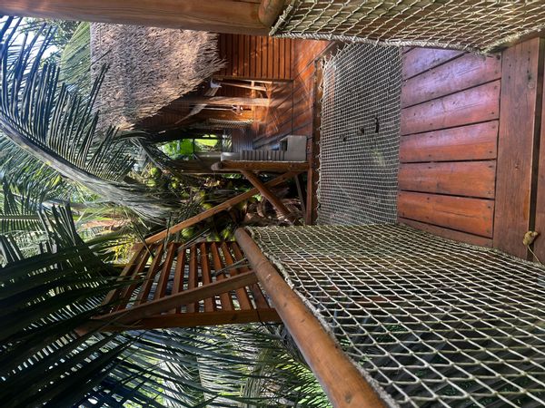 La maison avec sa cabane dans les arbres de Manon