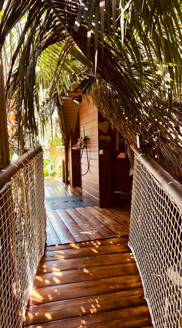 La cabane dans les arbres