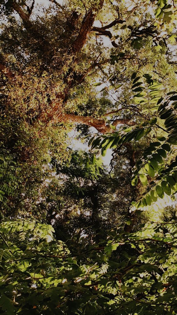 Maison au cœur de la nature au bord de l’océan Atlantique