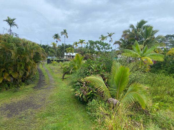La maison de Shelly