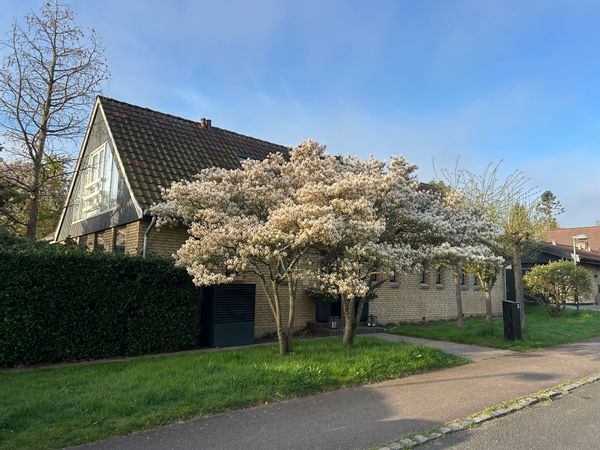 La maison de Søren