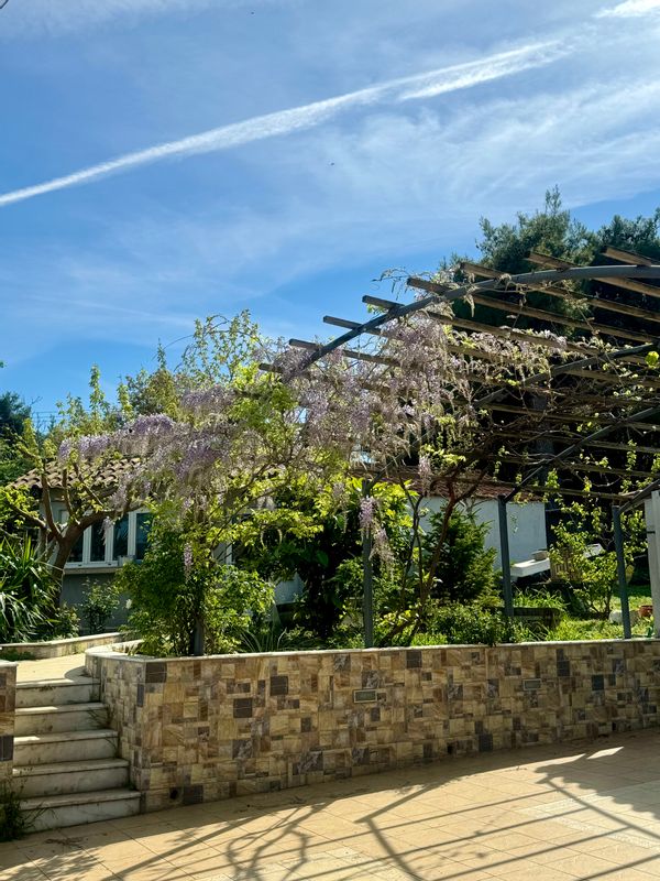 La maison de THANASIS