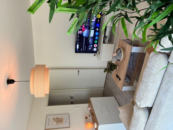 Appartement T2 au coeur de Rennes, décoration scandinave, très bien desservi en transport en commun.