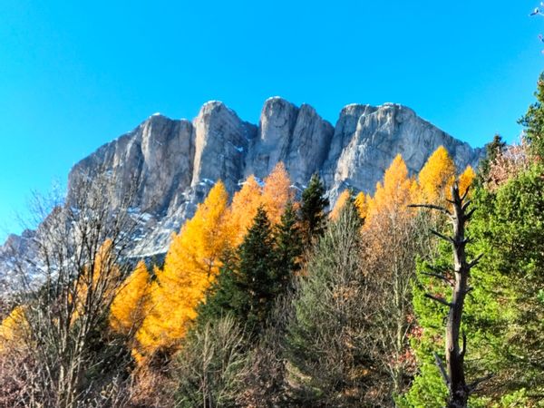 Montagnes et balades dans les Dolomites françaises, Sud Vercors