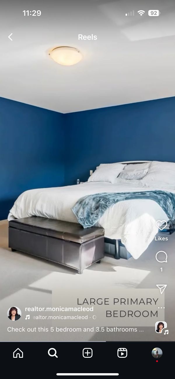 Small bedroom in a shared house with my family and 2 dogs!