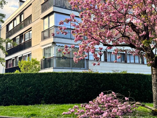 Séjour nature et sérénité en famille, à deux pas de Versailles et Paris