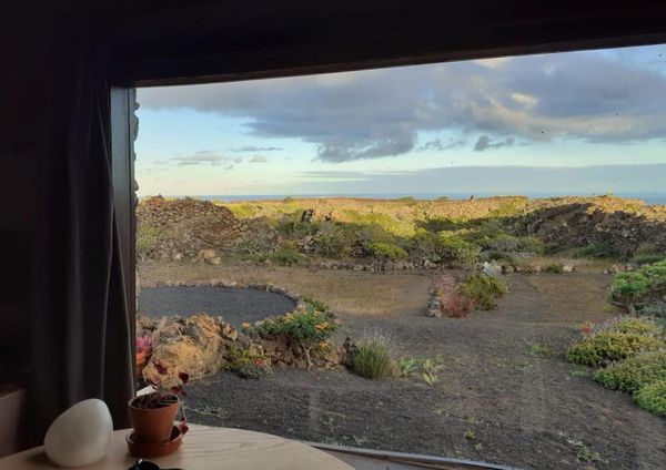 Cactus, volcans et ronrons!