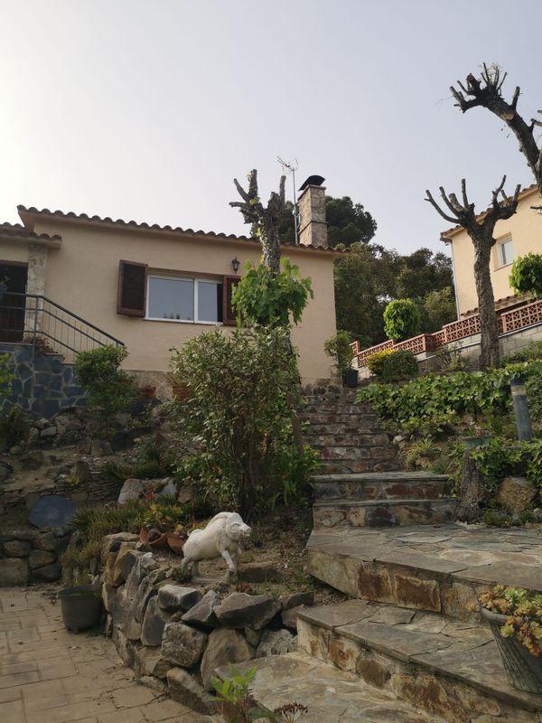 La maison de Sara