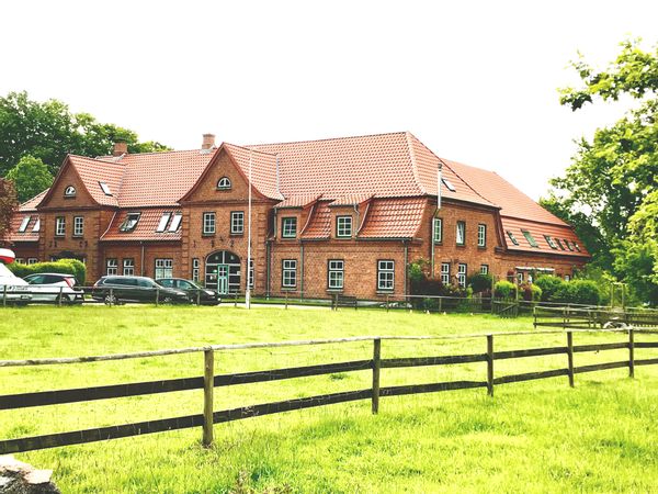 La maison de David