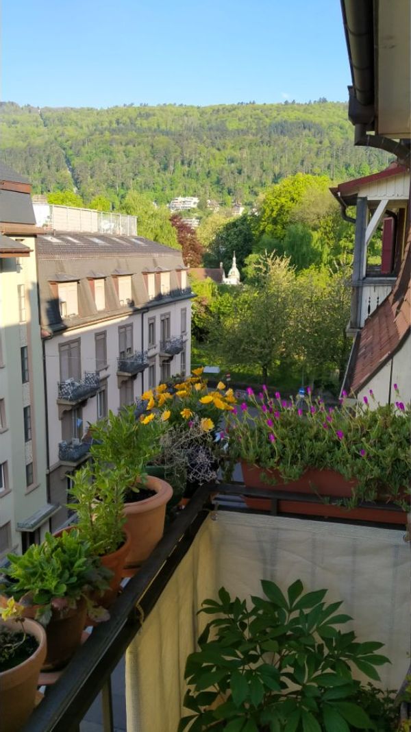 La maison de Alberto