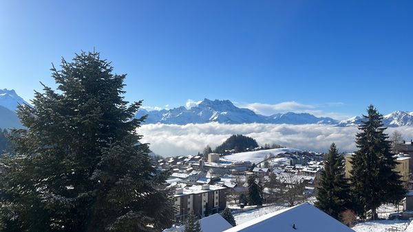 A la découverte des Alpes Suisses