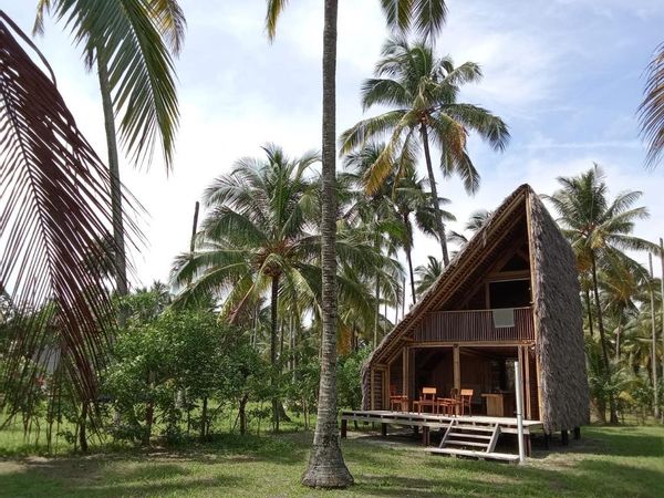 Casa Yemaya Surf house - Maison d'architecte en pleine palmeraie, face à la mer.
