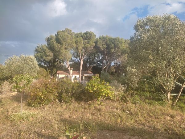 Mazet au coeur de la Gardiole, colline de garrigue en bord de mer méditerranée
