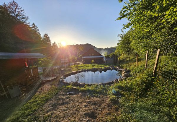 Entre Lac et Montagne, bienvenue à La Roche ! Maison familiale