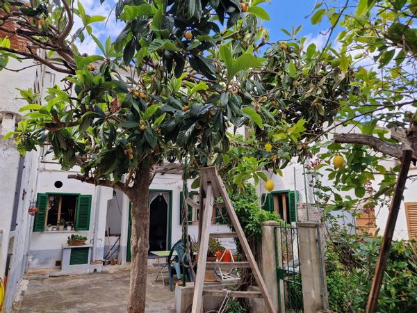 La maison de Esther & Gabo