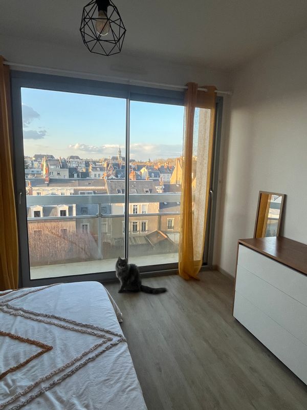 Appartement au coeur de Tours et des Châteaux de la Loire