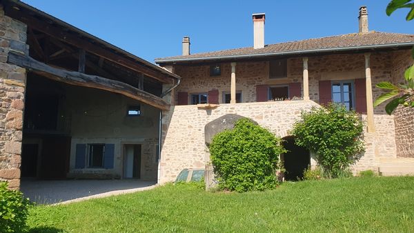 Au coeur des vignes