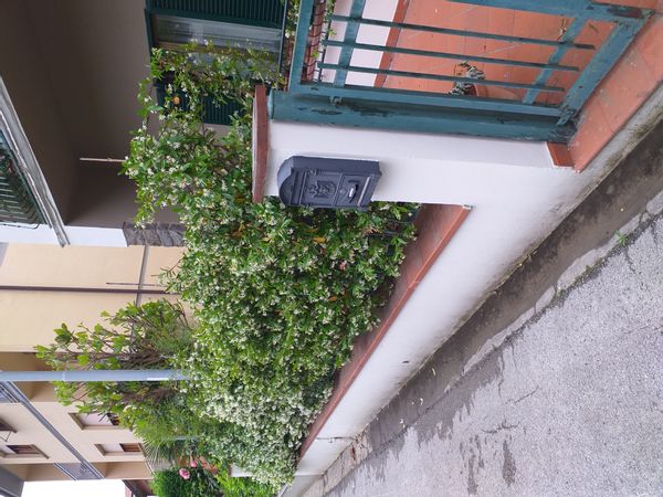 La maison de mariana elisa