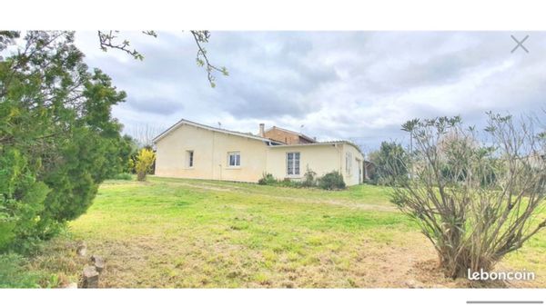 Maison vignes, Bordeaux, océan Atlantique, caudalie entre calme, balades et dégustations vin !
