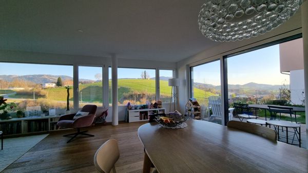 Violaine's modern Swiss house