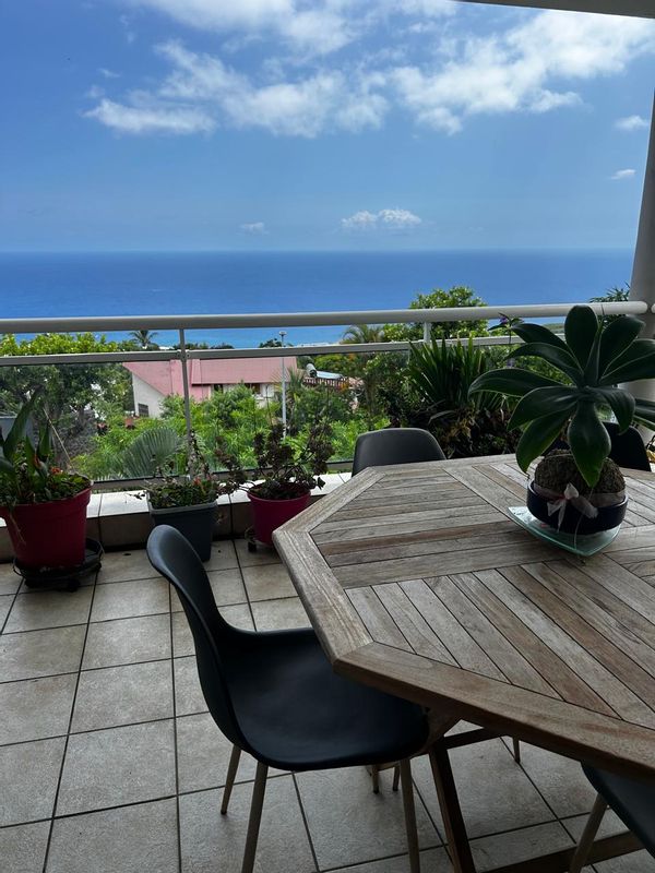 Appartement lumineux avec grande terrasse et vue mer