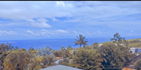 Grand anse sud sauvage