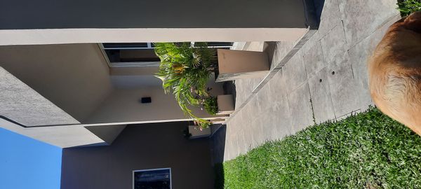 La maison de Rosana