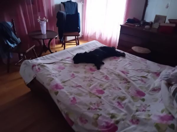 La maison de MIHAELA