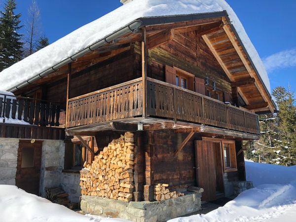 Chalet ski in-out VTT