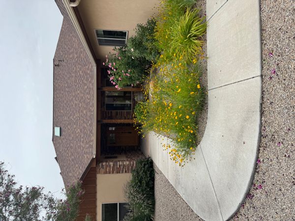 La maison de Shawn