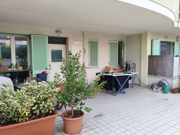La maison de David