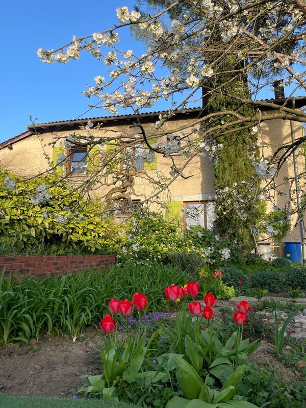 La maison aux volets verts