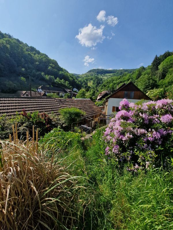 Maison familiale au calme, entre nature, forêt et villages alsaciens