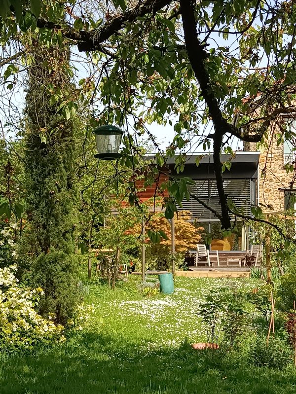 Maison de charme en meulière avec extension en bois pour living/salon de musique avec deux pianos