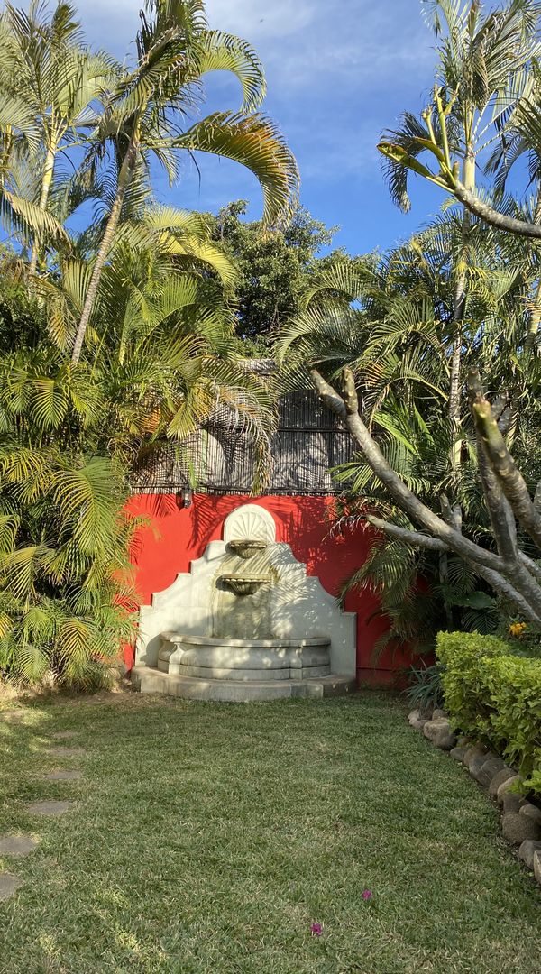 La maison de David