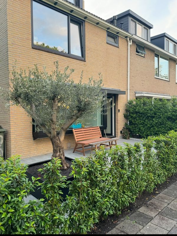 La maison de N