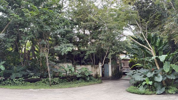 La maison de Alexandre e Virgílio