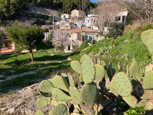 Typique cabanon dans un calanque, au calme. Copropriété arborée donnant directement sur la mer.