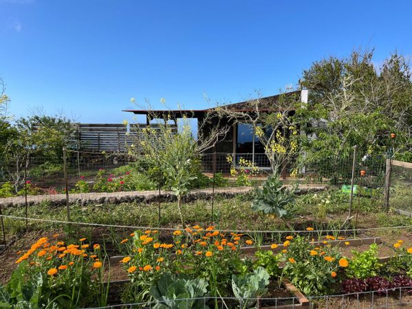 La maison de Violeta