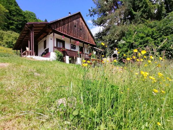 La maison de Mircea