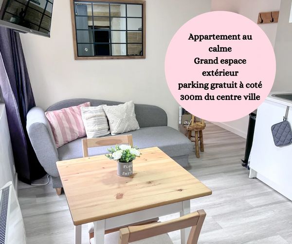 Appartement avec terrasse au cœur de Chinon à 500 m du château