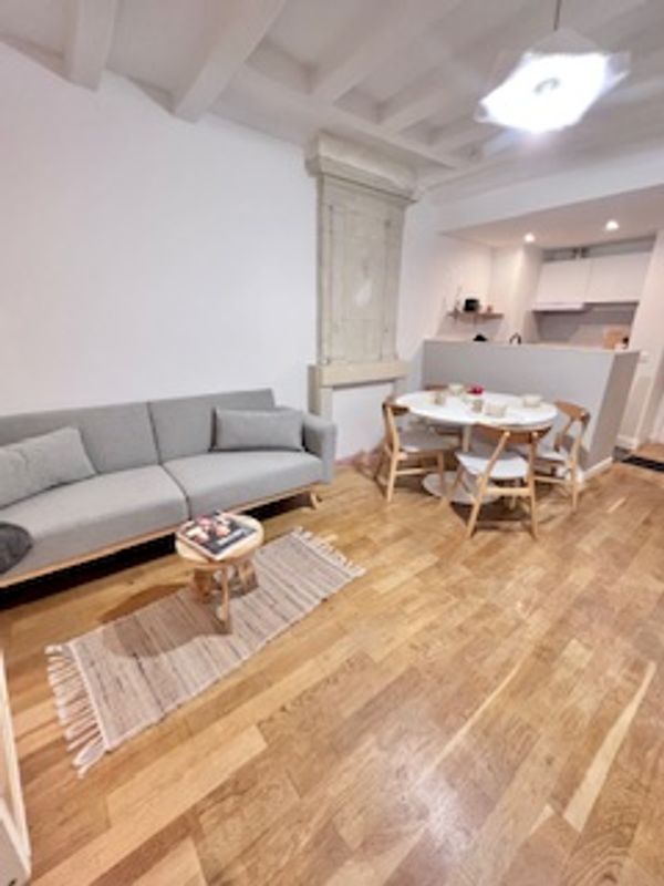 superbe duplex rénové, au calme et proche centre ville à côté du château de chinon