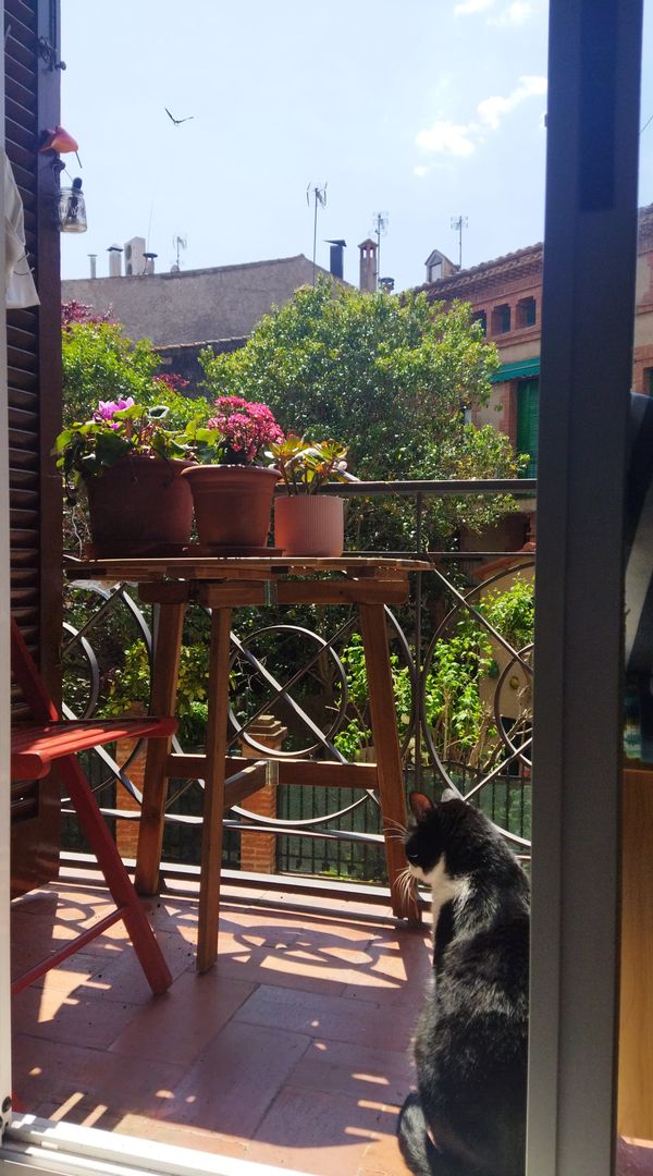 La maison de Laura i Cande