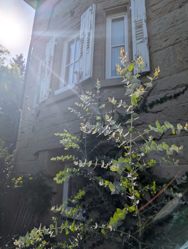 La maison de Dani